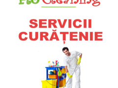 Flo Cleaning, pentru o lume mai curata