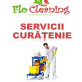 Flo Cleaning, pentru o lume mai curata
